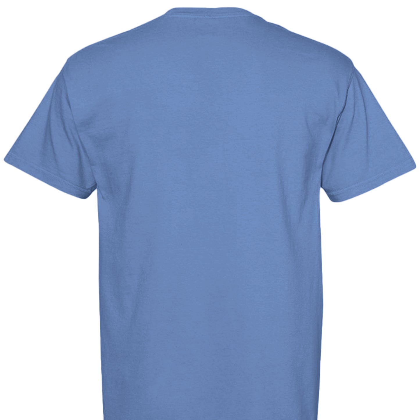 MYSTIC BLUE - C1717 - BACK
